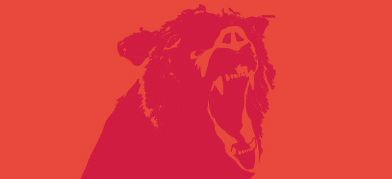 Active Sourcing hilft bei der Personalgewinnung Grizzlybär